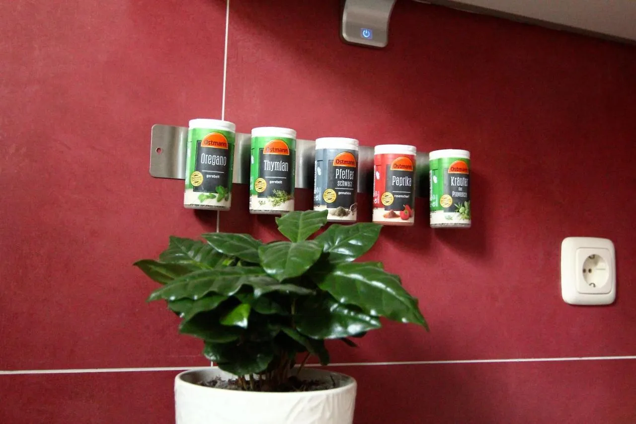 Apartment / Flat / Wohnung Im Herzen Von Dresden