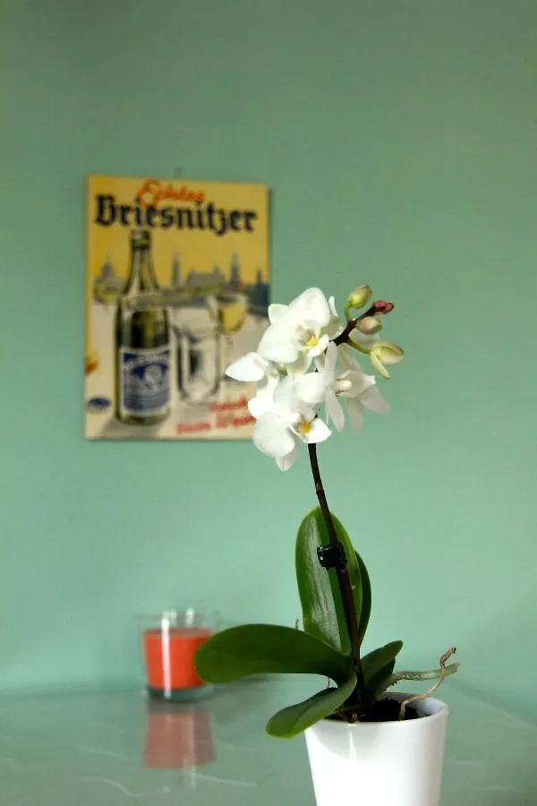 Apartment / Flat / Wohnung im Herzen von Dresden